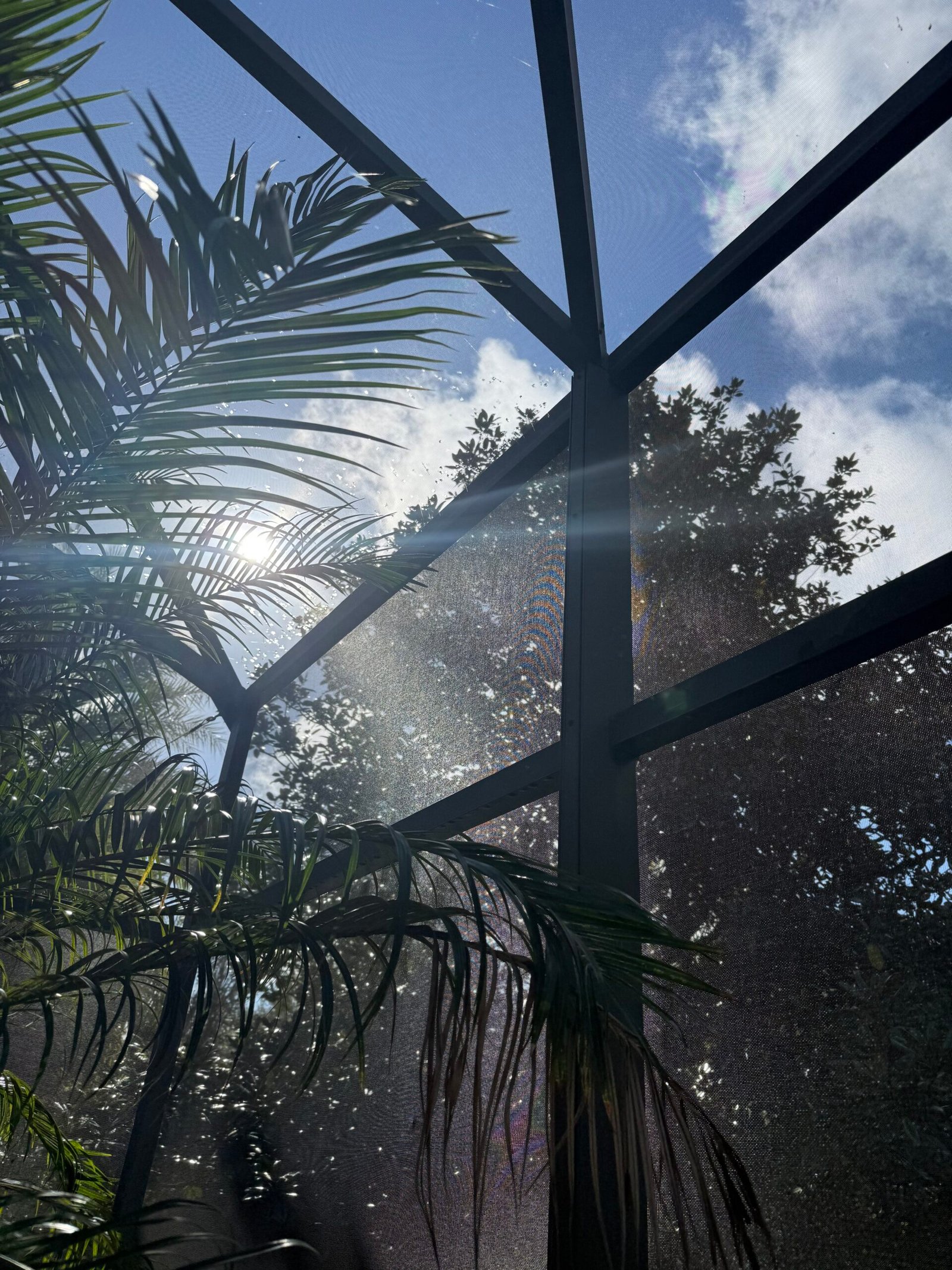 Florida Pool Screen Repair